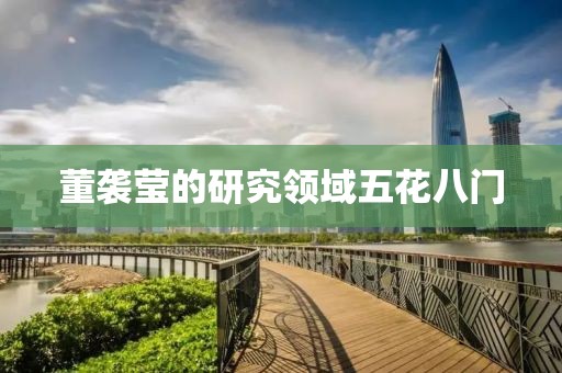 董袭莹的研究领域五花八门