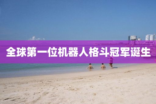 全球第一位机器人格斗冠军诞生