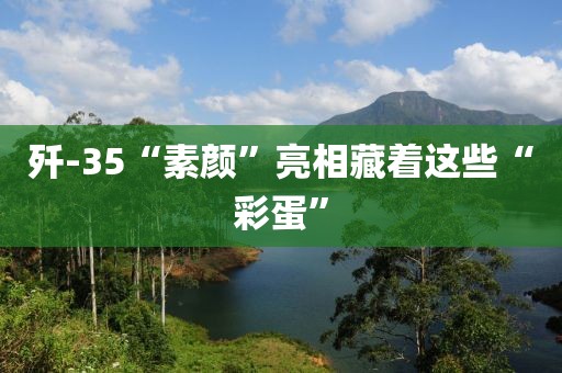 歼-35“素颜”亮相藏着这些“彩蛋”