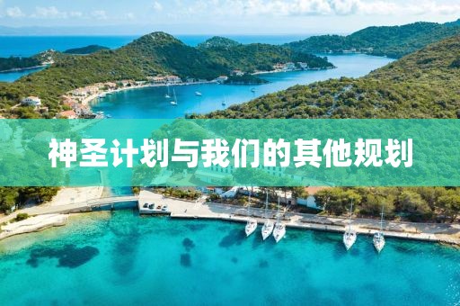 受伤玳瑁用身体撞击舰船“求助”