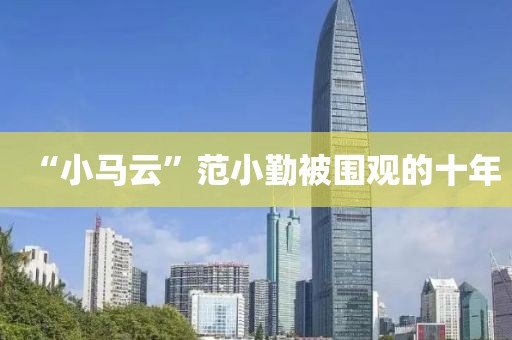 “小马云”范小勤被围观的十年