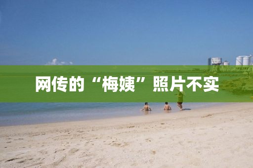 网传的“梅姨”照片不实