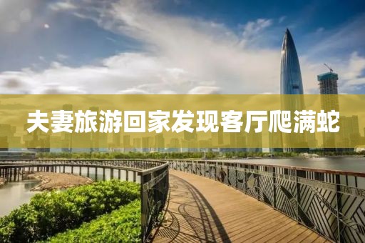 夫妻旅游回家发现客厅爬满蛇