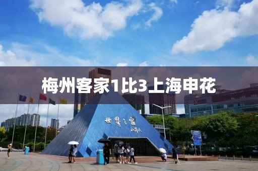 梅州客家1比3上海申花