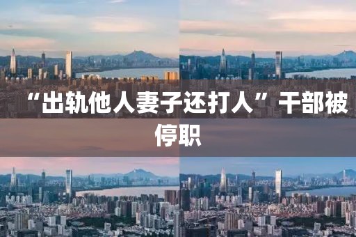 “出轨他人妻子还打人”干部被停职