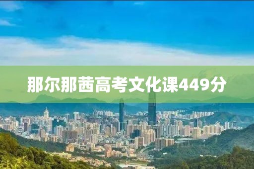 那尔那茜高考文化课449分