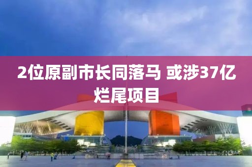 2位原副市长同落马 或涉37亿烂尾项目