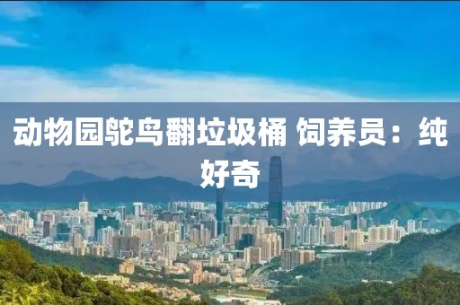 动物园鸵鸟翻垃圾桶 饲养员：纯好奇