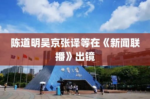 陈道明吴京张译等在《新闻联播》出镜