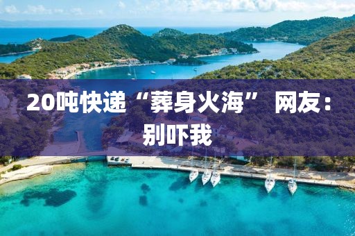 20吨快递“葬身火海” 网友:别吓我