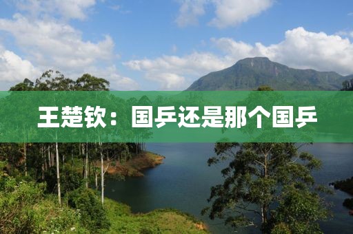 王楚钦：国乒还是那个国乒