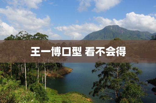 王一博口型 看不会得