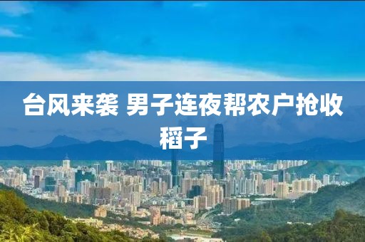 台风来袭 男子连夜帮农户抢收稻子