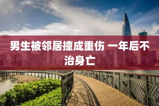 男生被邻居撞成重伤 一年后不治身亡