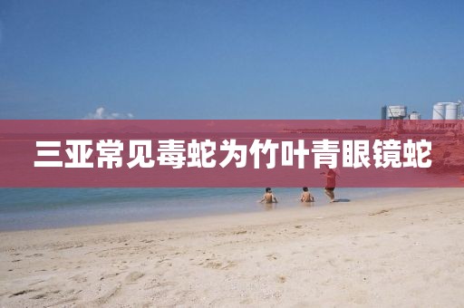 三亚常见毒蛇为竹叶青眼镜蛇