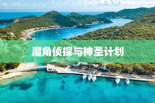 我为什么选择了这个计划软件？一名使用者的真实体验