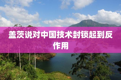 盖茨说对中国技术封锁起到反作用