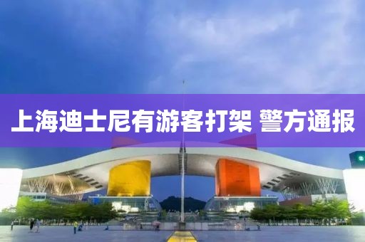 上海迪士尼有游客打架 警方通报