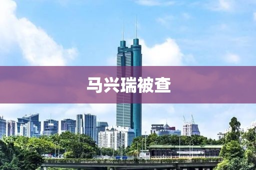 马兴瑞被查