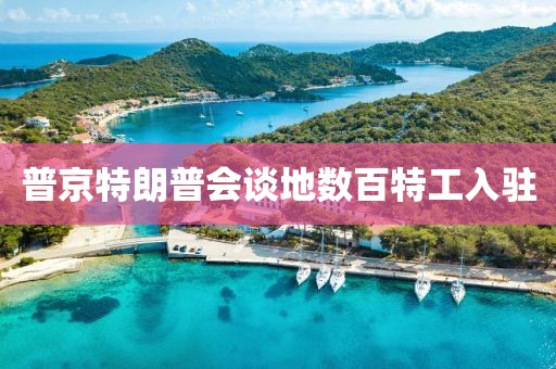 普京特朗普会谈地数百特工入驻