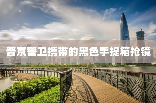 普京警卫携带的黑色手提箱抢镜