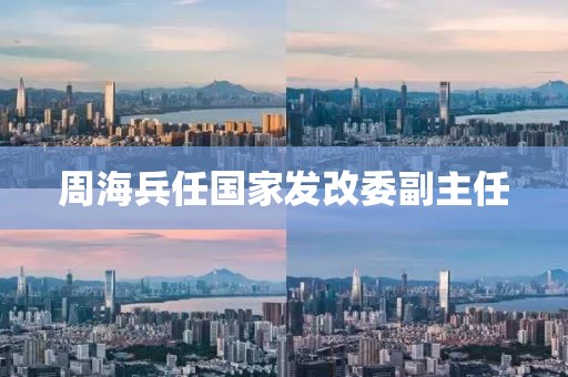 周海兵任国家发改委副主任