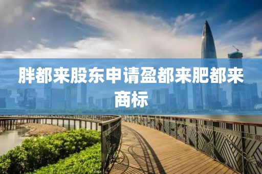 胖都来股东申请盈都来肥都来商标
