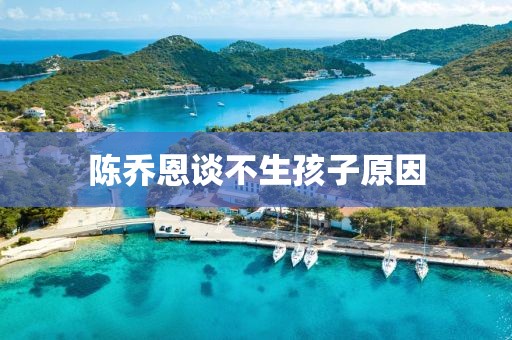 陈乔恩谈不生孩子原因