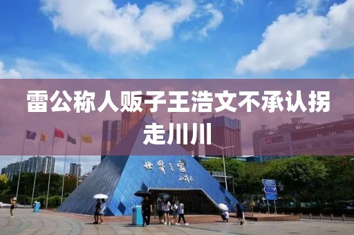 雷公称人贩子王浩文不承认拐走川川