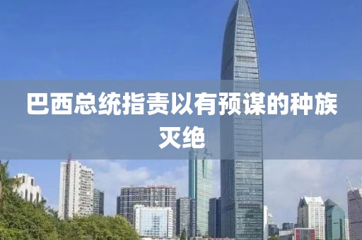 巴西总统指责以有预谋的种族灭绝