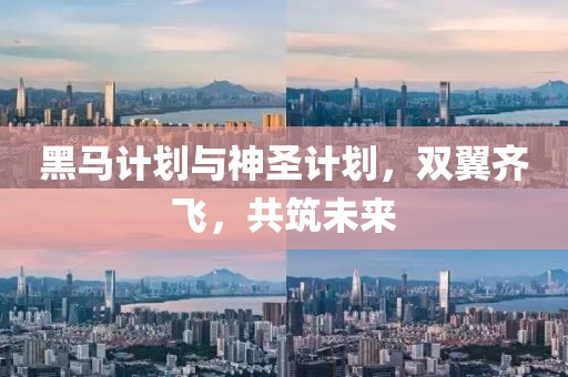 如何使用计划软件高效管理工作和生活？
