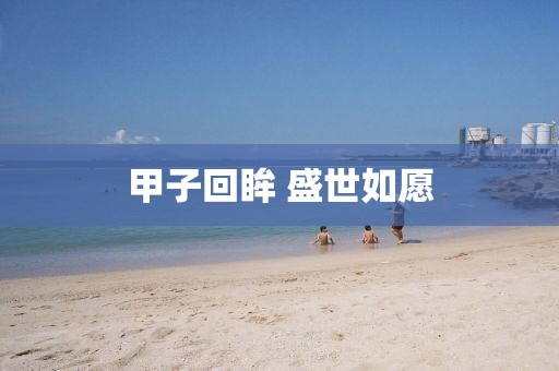 甲子回眸 盛世如愿