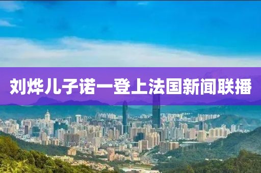 刘烨儿子诺一登上法国新闻联播