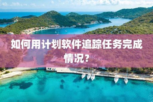 如何用计划软件追踪任务完成情况？
