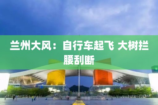 兰州大风：自行车起飞 大树拦腰刮断