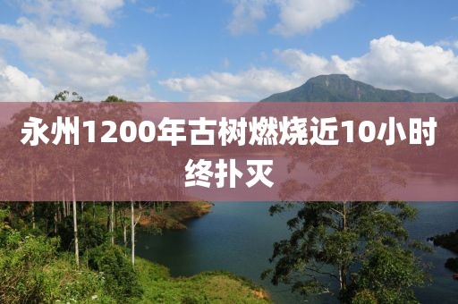 永州1200年古树燃烧近10小时终扑灭