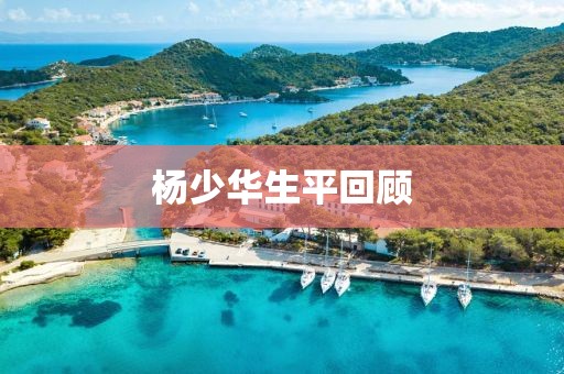 杨少华生平回顾 杨少华生平回顾