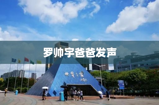 罗帅宇爸爸发声