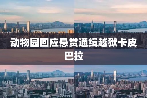 动物园回应悬赏通缉越狱卡皮巴拉