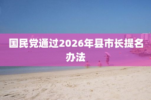 国民党通过2026年县市长提名办法