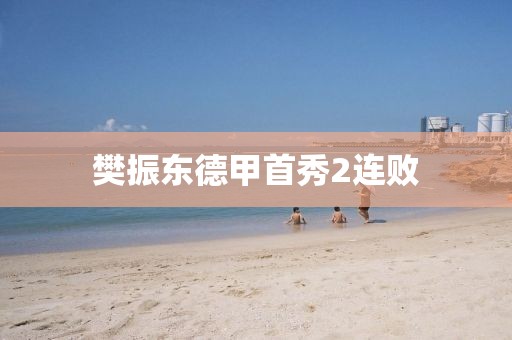 樊振东德甲首秀2连败