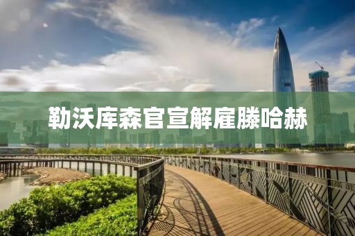 勒沃库森官宣解雇滕哈赫