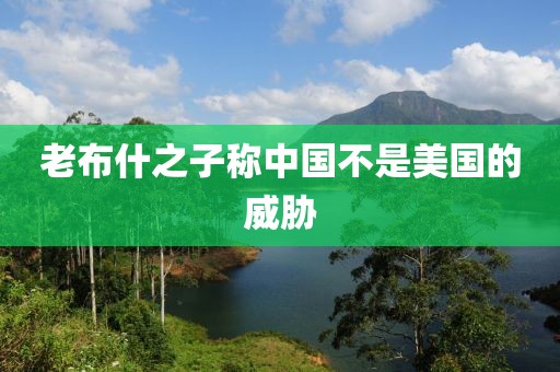 老布什之子称中国不是美国的威胁