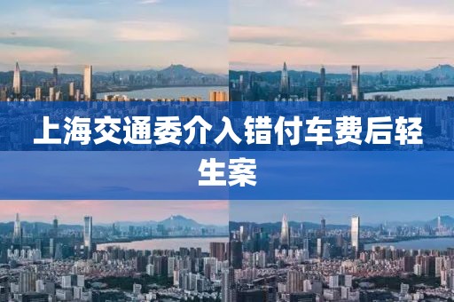 上海交通委介入错付车费后轻生案