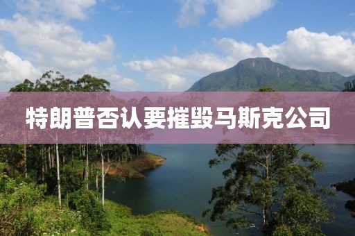 特朗普否认要摧毁马斯克公司