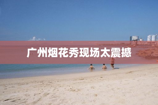 广州烟花秀现场太震撼