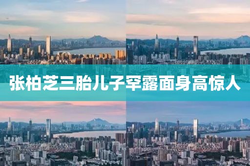 张柏芝三胎儿子罕露面身高惊人
