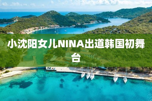 小沈阳女儿NINA出道韩国初舞台