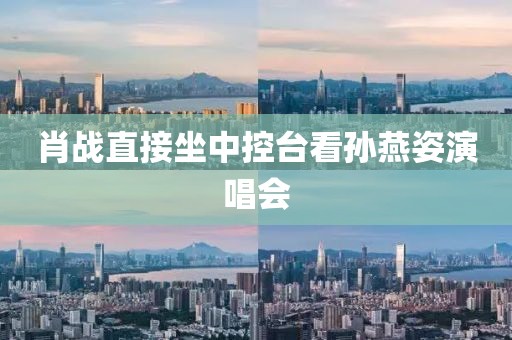 肖战直接坐中控台看孙燕姿演唱会