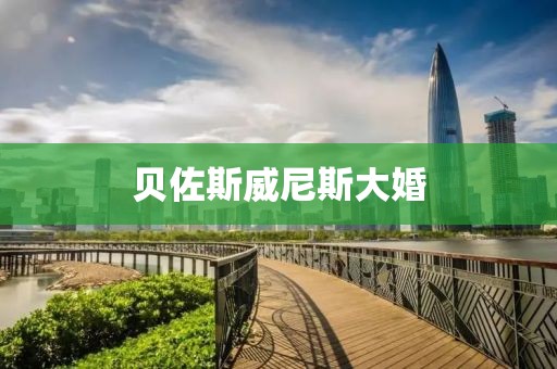 贝佐斯威尼斯大婚
